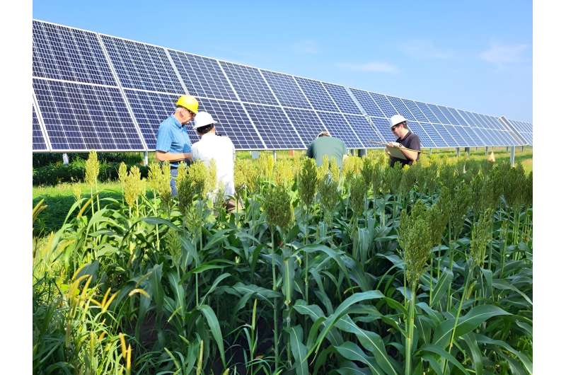 Putting the 'farm' in solar farm