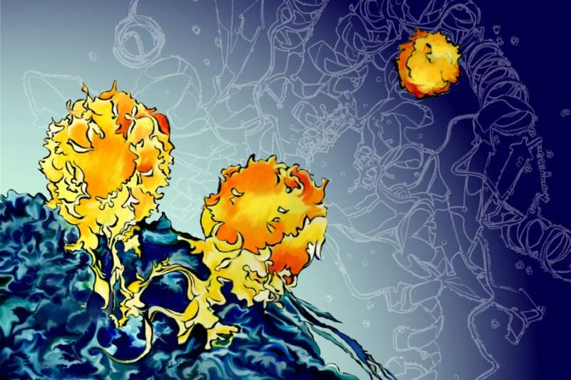 Putting the STING into cancer immunotherapy