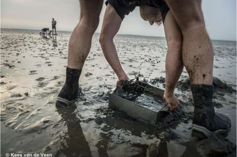 Quality of tidal mudflats changes in gas extraction area of Wadden Sea
