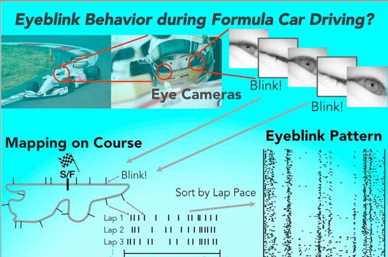 Racecar drivers found to blink during safest parts of track