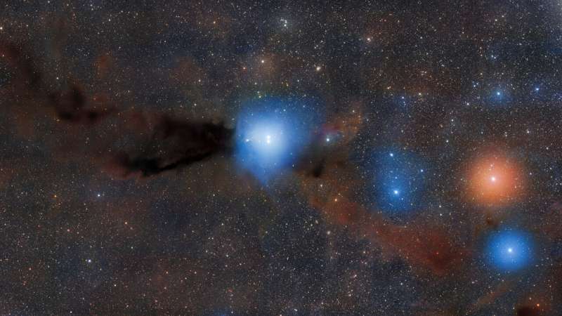 Radiant protostars and shadowy clouds clash in stellar nursery