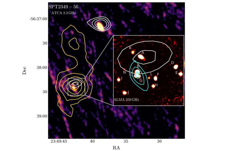 Radio-loud active galactic nucleus detected in the protocluster SPT2349−56