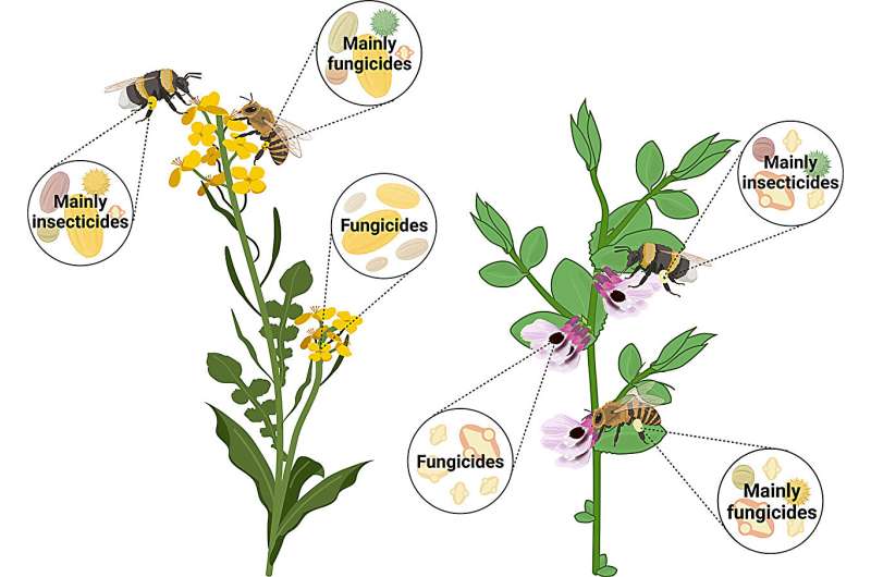 Variedad de pesticidas, incluidos los neonicotinoides, que se encuentran en el polen de diferentes especies de abejas.