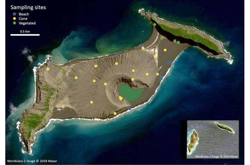 Una rara oportunidad de estudiar una isla volcánica de corta duración revela microbios que metabolizan el azufre