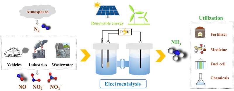 Recent advances in electrocatalytic ammonia synthesis