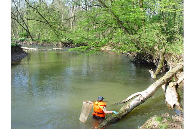 Recovery of biodiversity in rivers across Europe is slowing down, study finds
