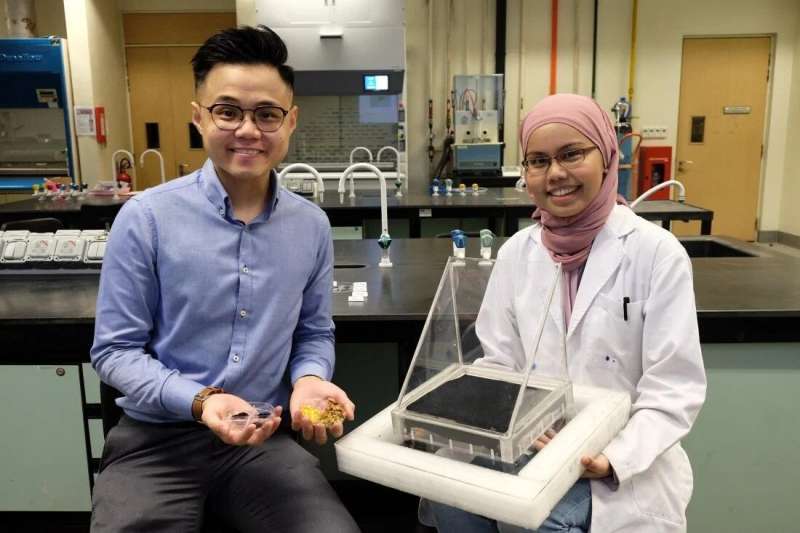 Recycling of fruit waste into solar absorber for water desalination