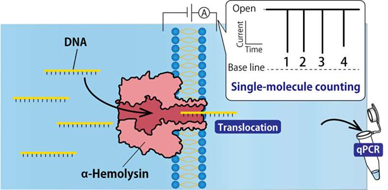 Reducing contamination in single-molecule DNA extraction using nanopore technology