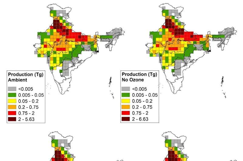 Removing ozone pollution across India could boost food welfare benefits by billions of dollars a year