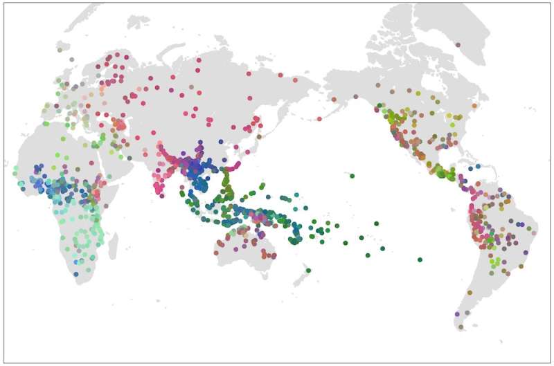 Исследование 2400 языков показывает, что почти половина языкового разнообразия в мире находится под угрозой