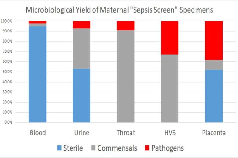 Research reveals best approach for detection of maternal sepsis