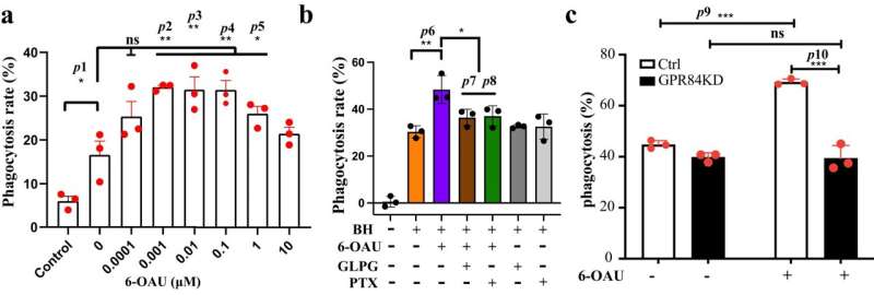Research reveals pro-phagocytic function and structural basis of GPR84 signaling
