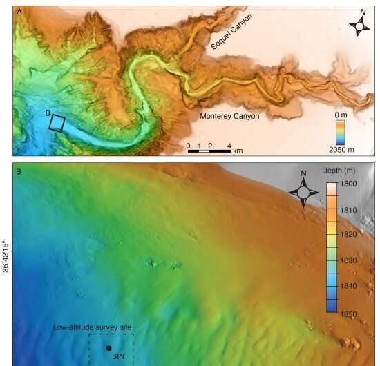 Research reveals processes that sculpt submarine canyons
