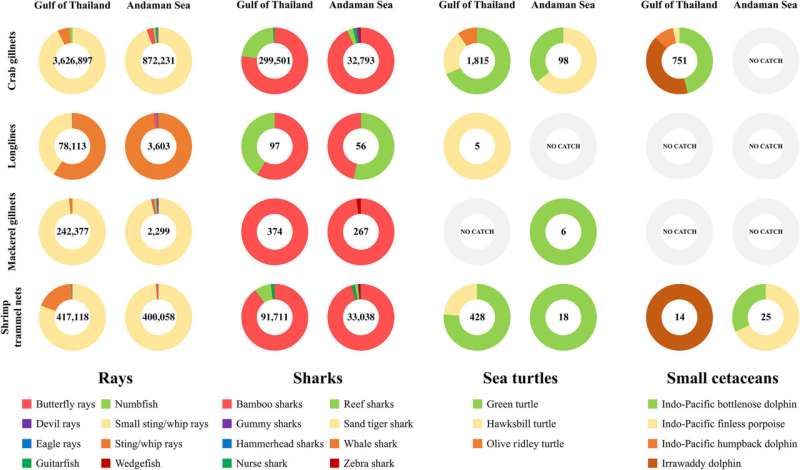 Research reveals the ecological threats of small-scale fisheries in Thailand