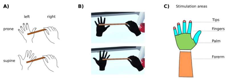 Research team uses immersive VR to shed light on tactile gating and 'phantom touch illusion'
