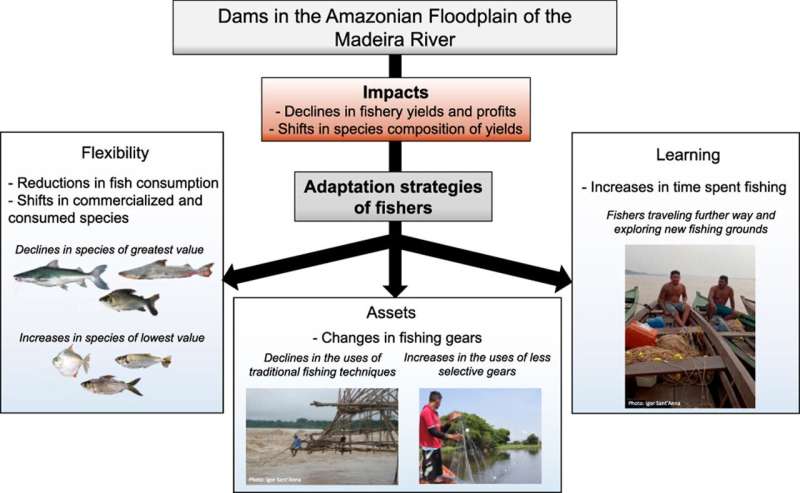 Researcher studies effects of Amazon mega dams on biodiversity and local communities