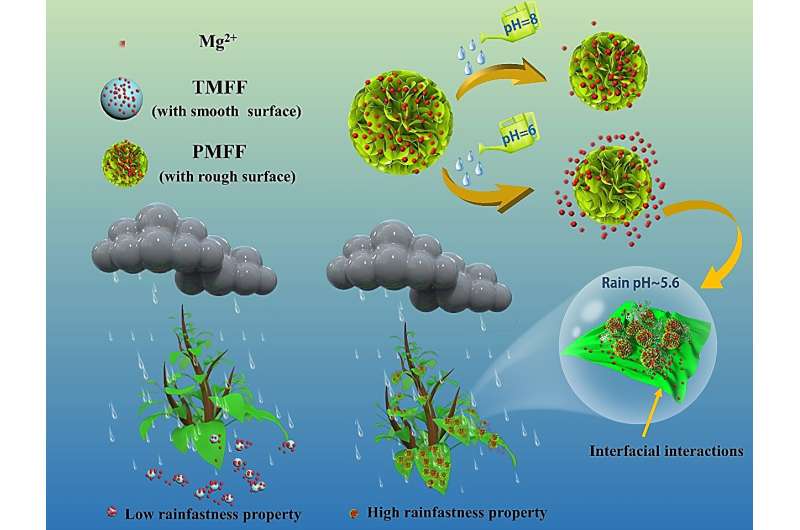 Researchers achieve efficient nutrient delivery to crop leaves through nanomaterial surface roughness engineering