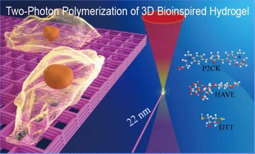 Researchers achieve higher precision with biocompatible hydrogel photoresist