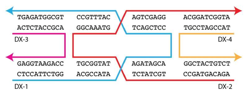 Researchers advance DNA nanostructure stability
