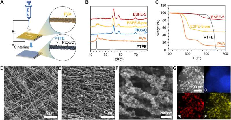 Researchers construct uneven phosphoric acid interfaces for advanced high-temperature polymer electrolyte fuel cells