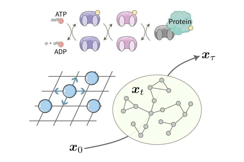 The authors derive a unified topological speed limit for the evolution of physical states  