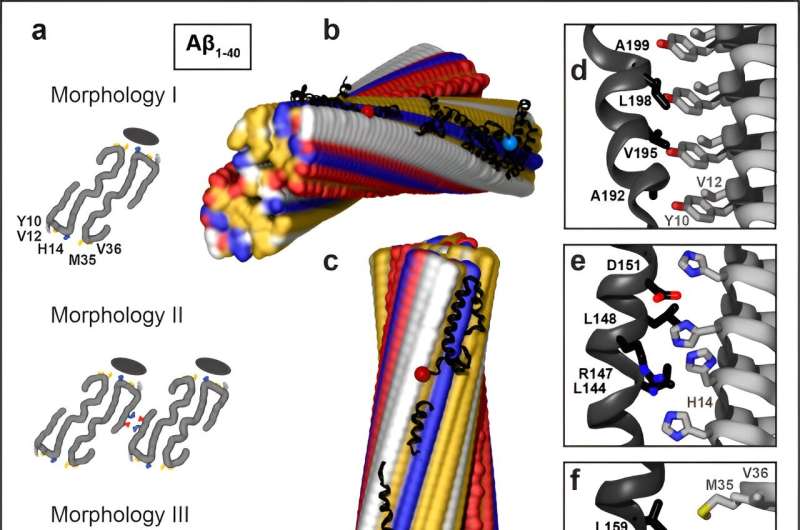 Researchers determine the structural basis for ApoE-Aβ interactions