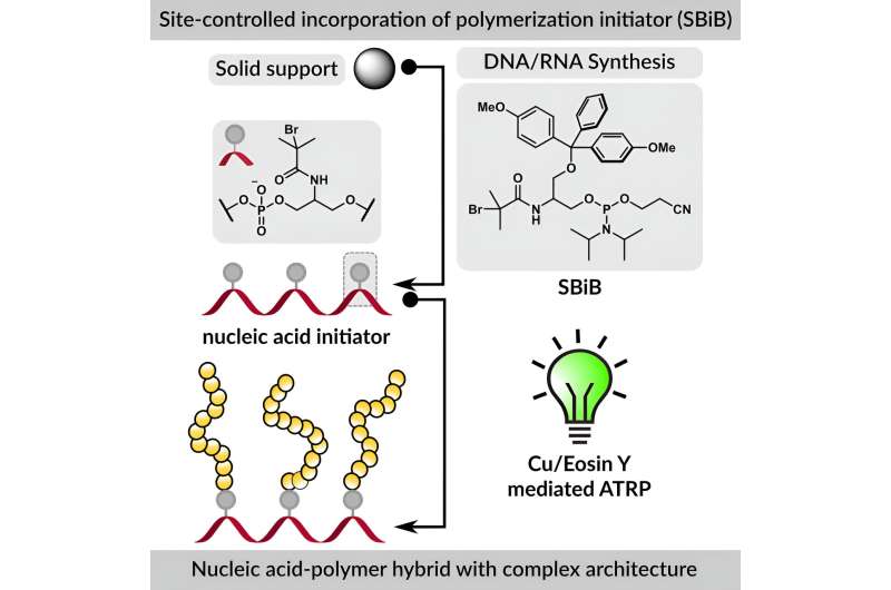 Researchers develop a new reagent and method to create DNA and RNA polymer biohybrids