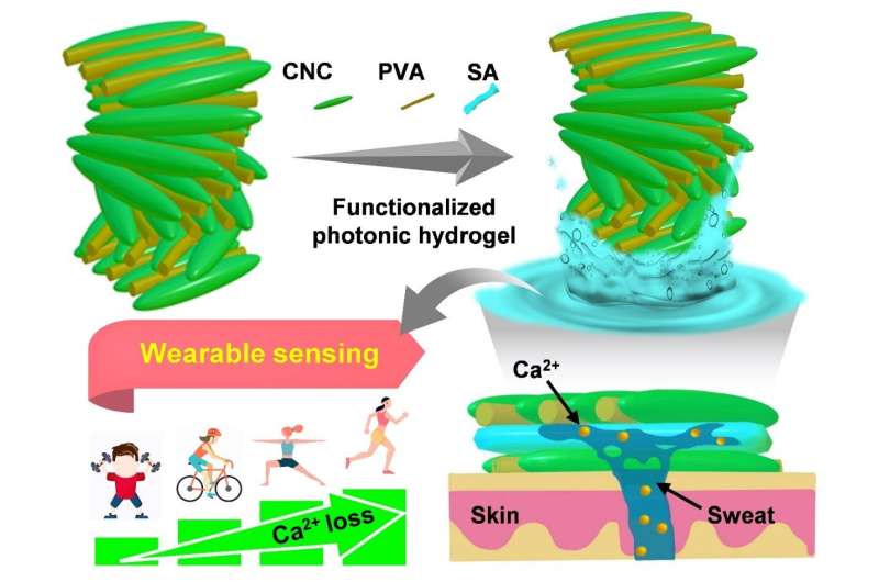 Researchers develop flexible sweat sensor based on photonic cellulose nanocrystal