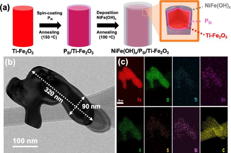 Researchers develop highly efficient and stable photoelectrode for water splitting using organic semiconductors
