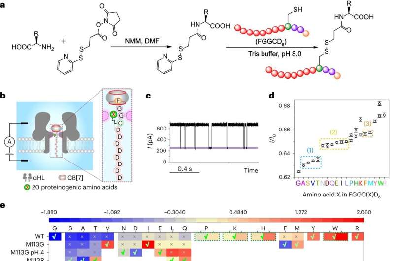 Researchers develop new method for peptide sequencing based on nanopore sensing technology