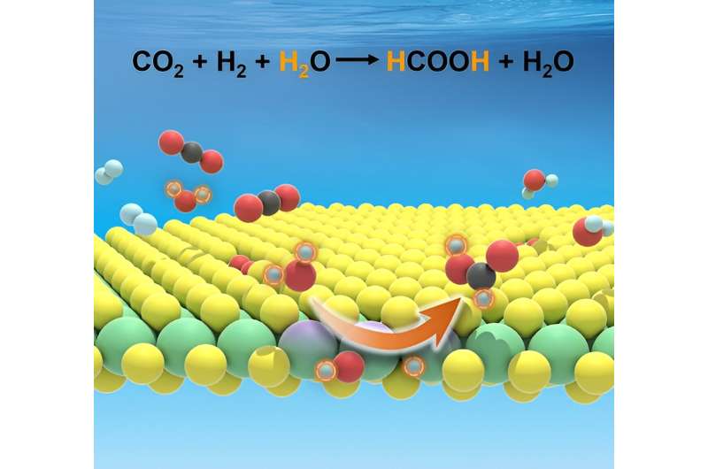 Researchers develop novel catalyst for carbon dioxide hydrogenation to formate