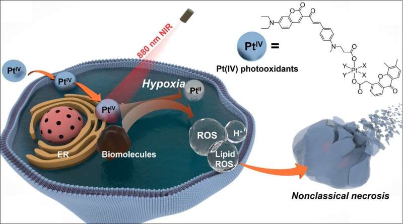 Researchers develop novel photo-oxidation therapy for anticancer treatment