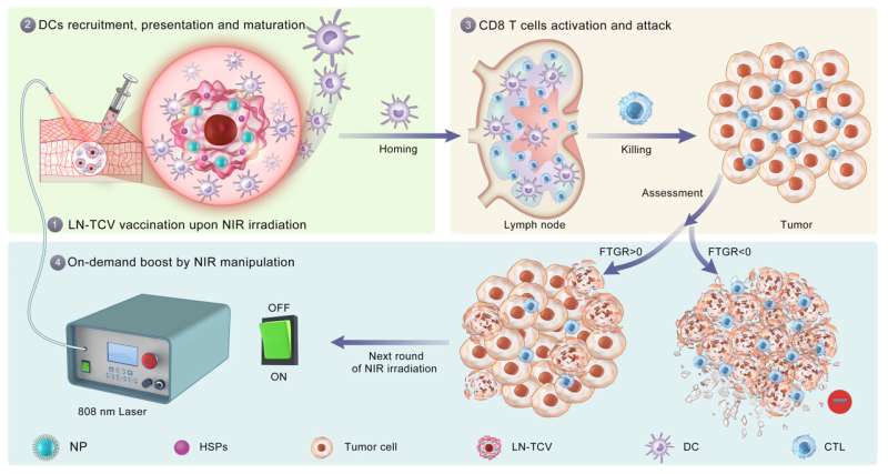 Researchers develop “on-demand” whole tumor cell vaccine against cancer