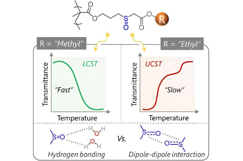 Researchers develop polymer that can be adapted to high and low temperature extremes