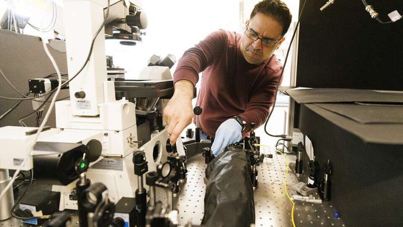 Researchers develop process to better see into nanoscale