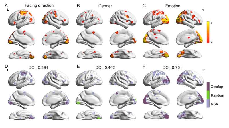 Researchers discover distributed brain network underlying neural representations of biological motion attributes