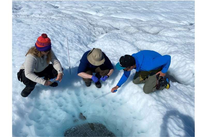Researchers discover that the ice cap is teeming with microorganisms