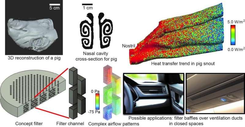 Researchers draw inspiration from pigs to design novel air filter technologies