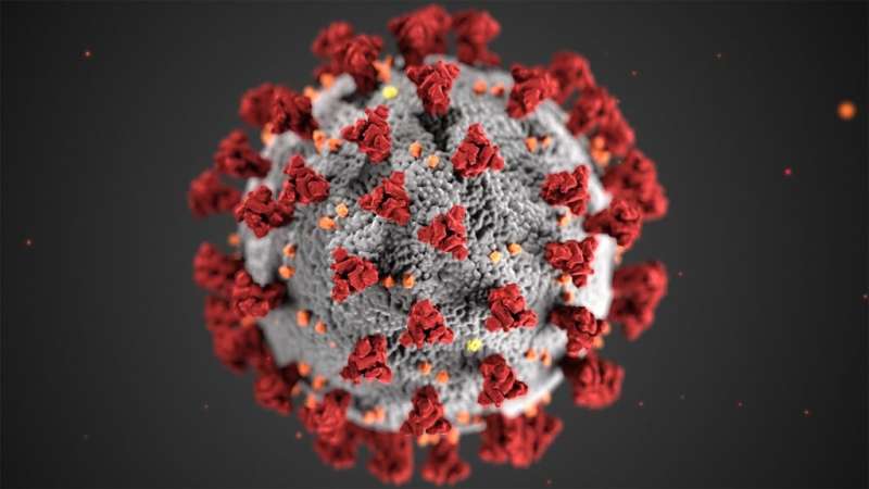 Researchers fix 'fundamental flaw,' improving pandemic prediction model