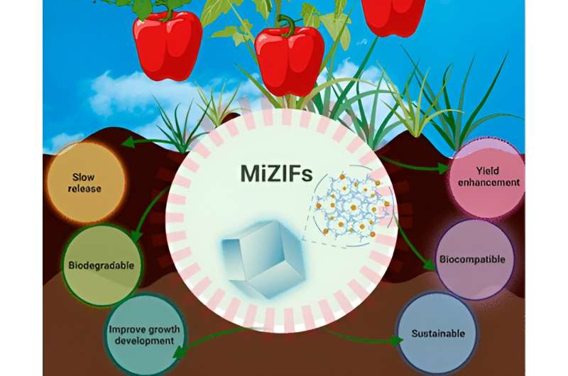 Researchers formulate controlled delivery of micronutrients to promote plant growth