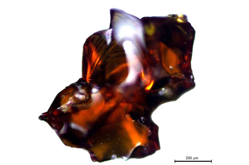 Researchers identify the oldest pieces of Baltic amber found on the Iberian Peninsula: imports began over 5,000 years ago