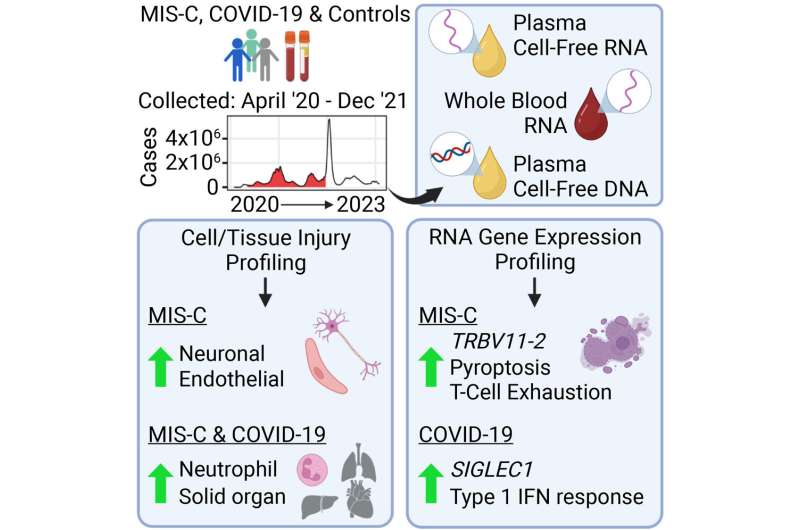 Researchers identify unique biomarker patterns identifying MIS-C and severe COVID in children
