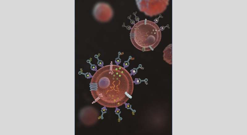 Researchers invent powerful tool to gather data on immune response at single-cell level