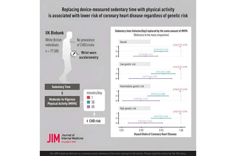 Researchers investigate the impact of replacing sedentary time with physical activity on genetic risk of coronary heart disease