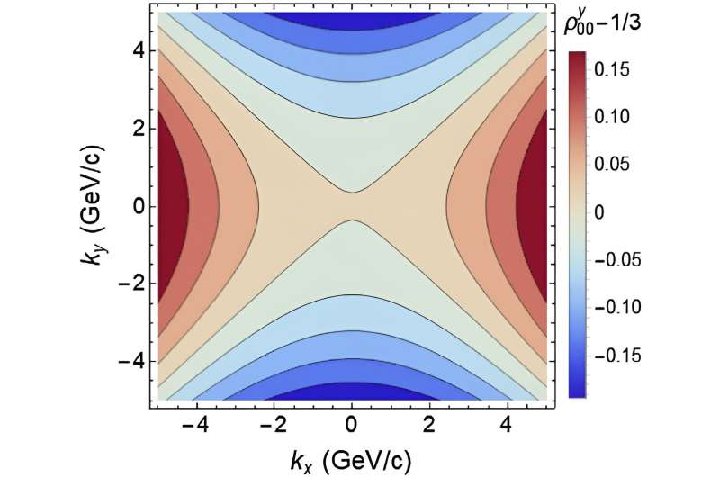 Researchers make progress in vector meson spin physics