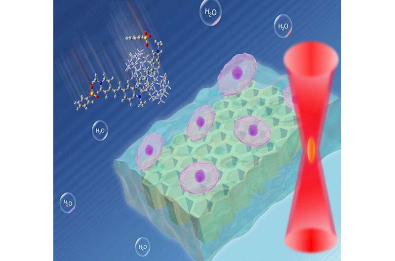 Researchers obtain anion ionic water-soluble two-photon initiator for three-dimensional hydrogels construction