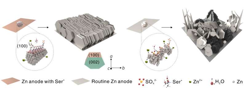 Researchers propose novel strategy to stabilize zinc-ion batteries