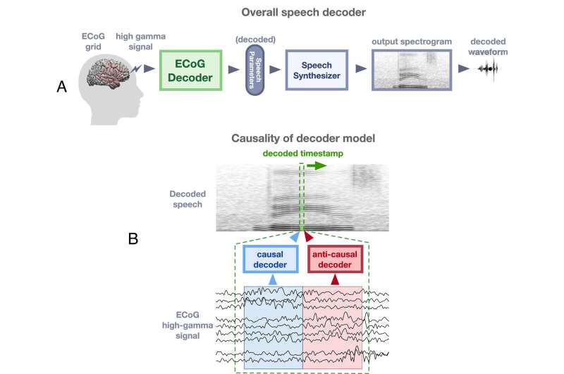 Researchers reconstruct speech from brain activity, illuminating complex neural processes
