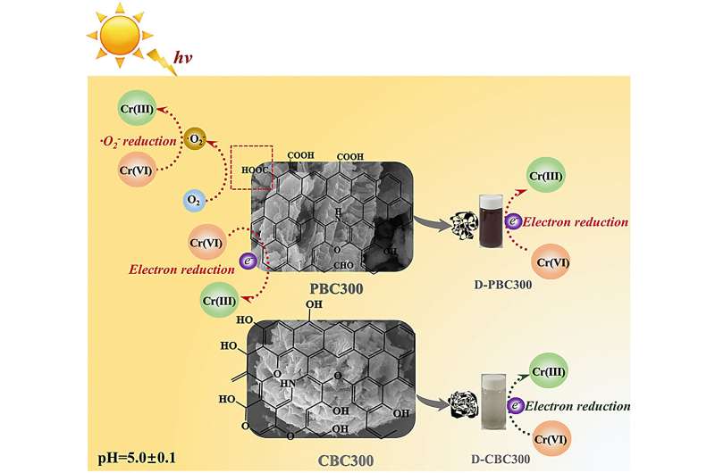 Researchers reveal different photocatalytic process of Cr(VI) on cellulose- and lignin-rich biochar