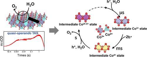 Researchers reveal sequential oxidation kinetics of multi-cobalt active sites on Co3O4 catalyst for water oxidation